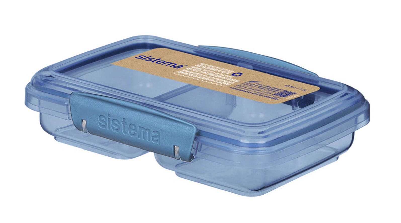 SISTEMA picture