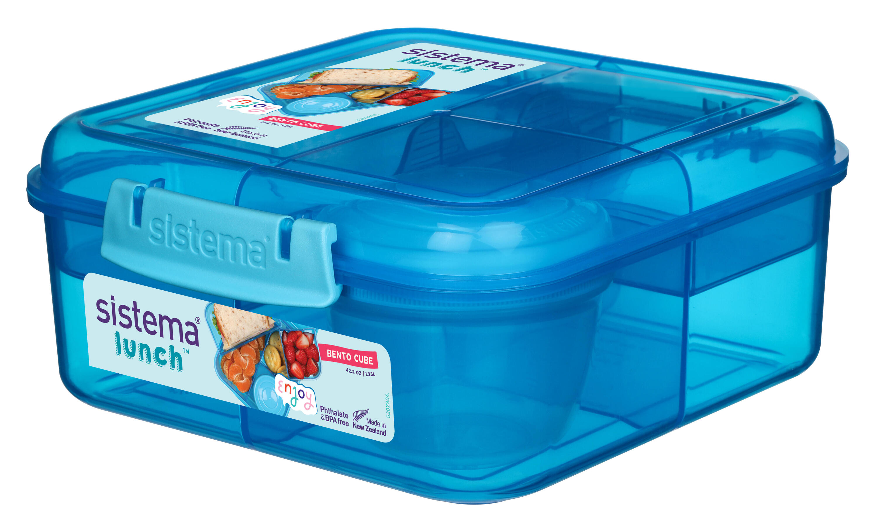 SISTEMA picture