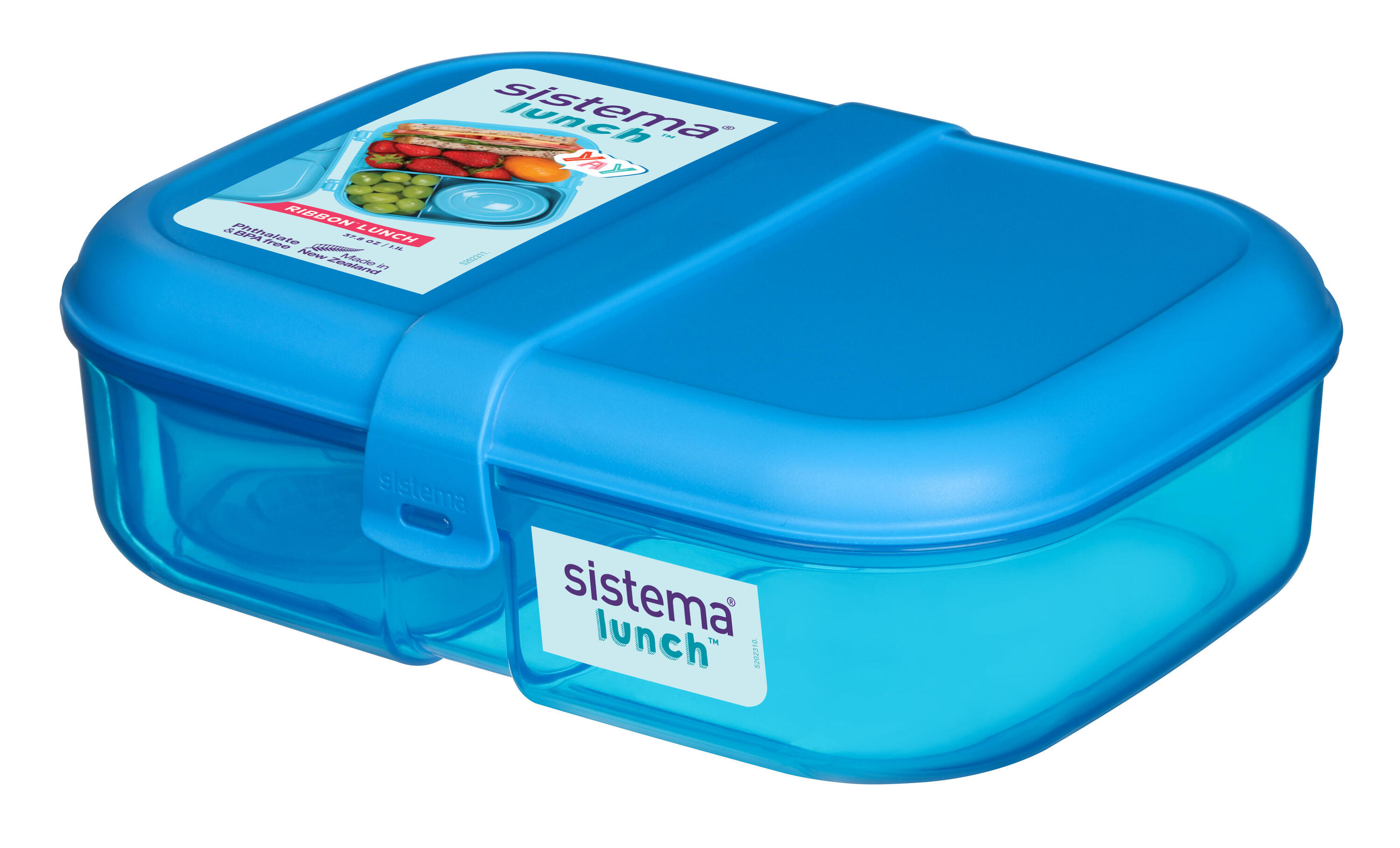 SISTEMA picture