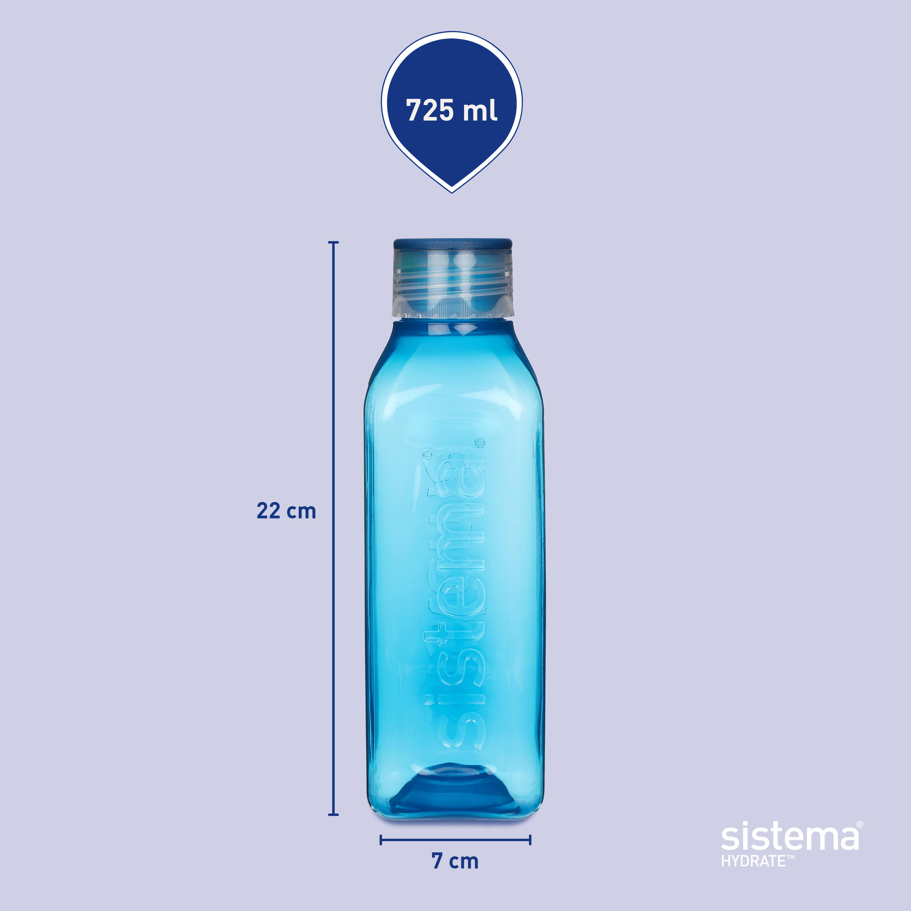 SISTEMA picture