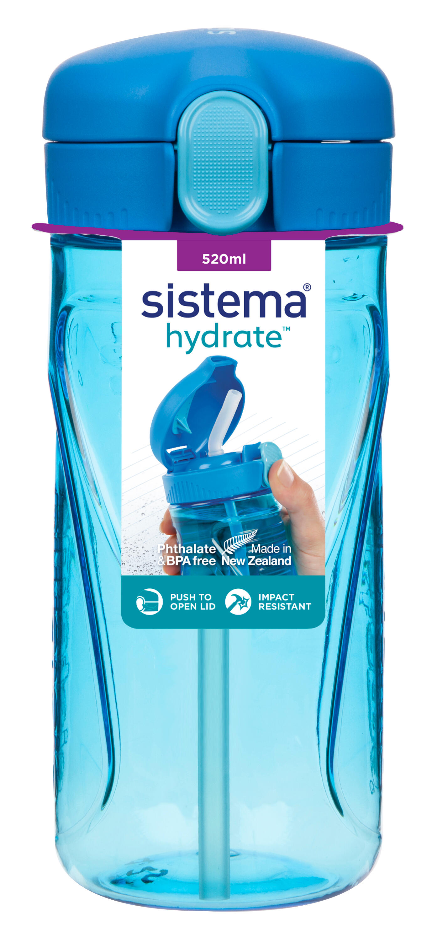 SISTEMA picture