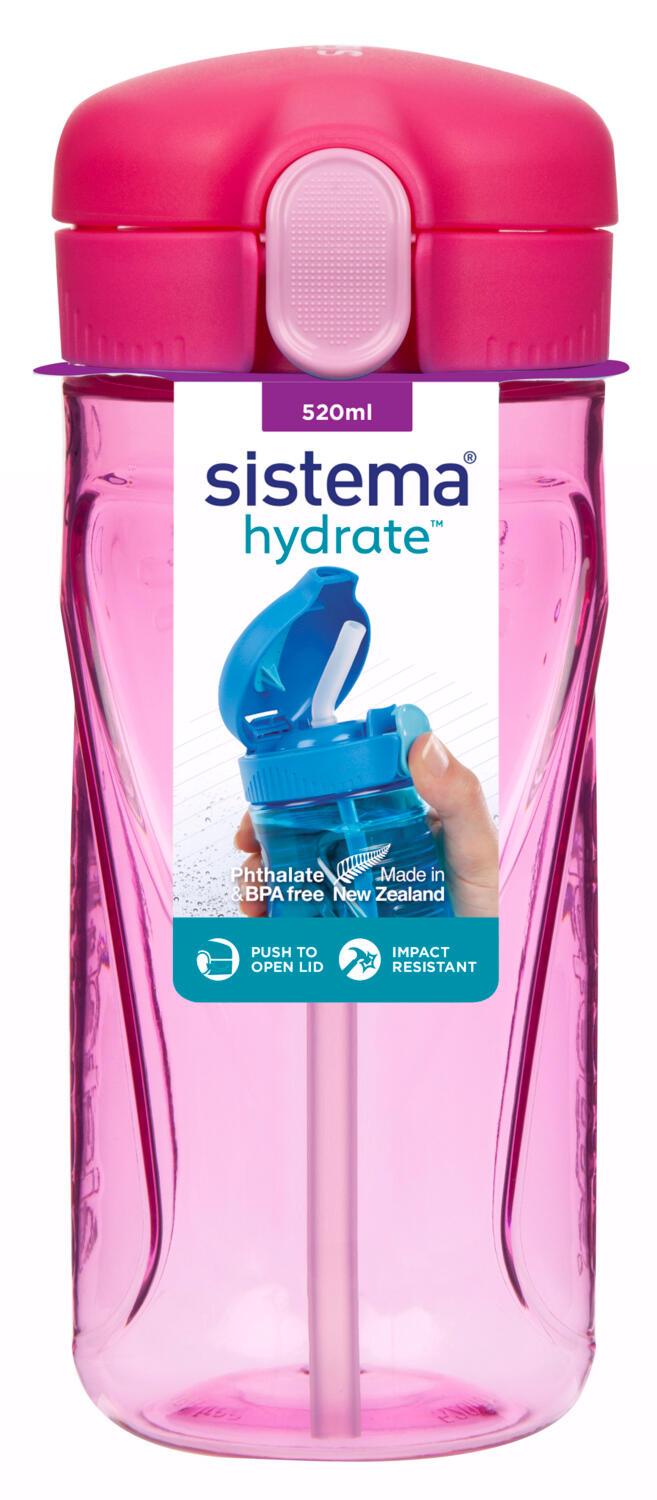 SISTEMA picture