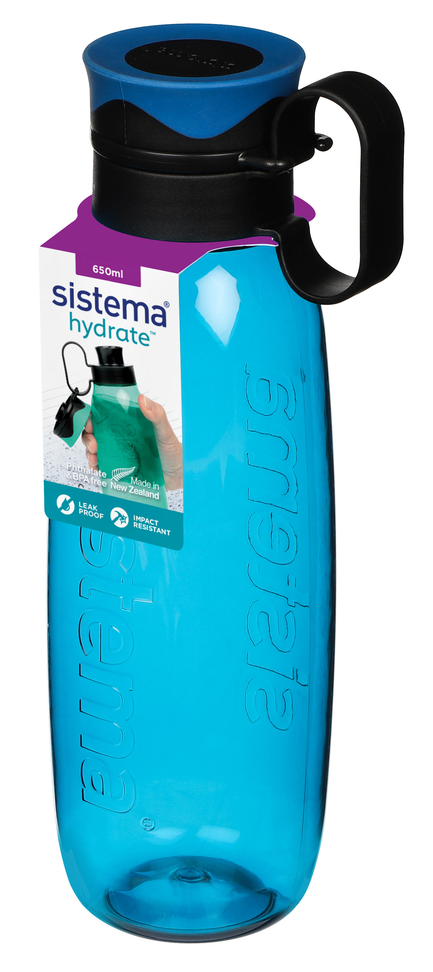SISTEMA picture