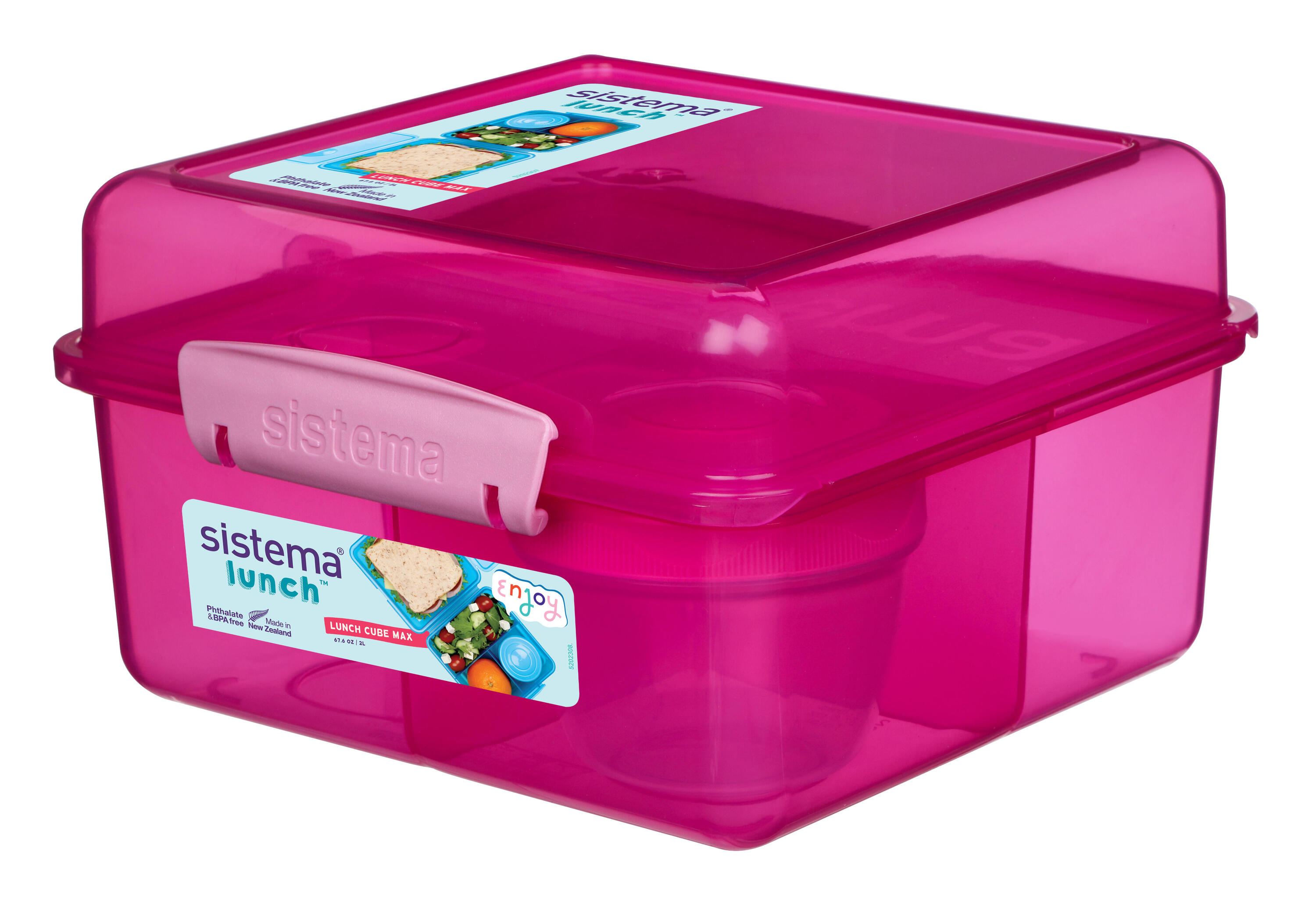 SISTEMA picture