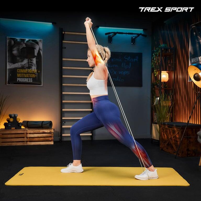 Set d'élastiques de résistance 4 pcs Trex Sport TX-004PB avec ancre 5/7