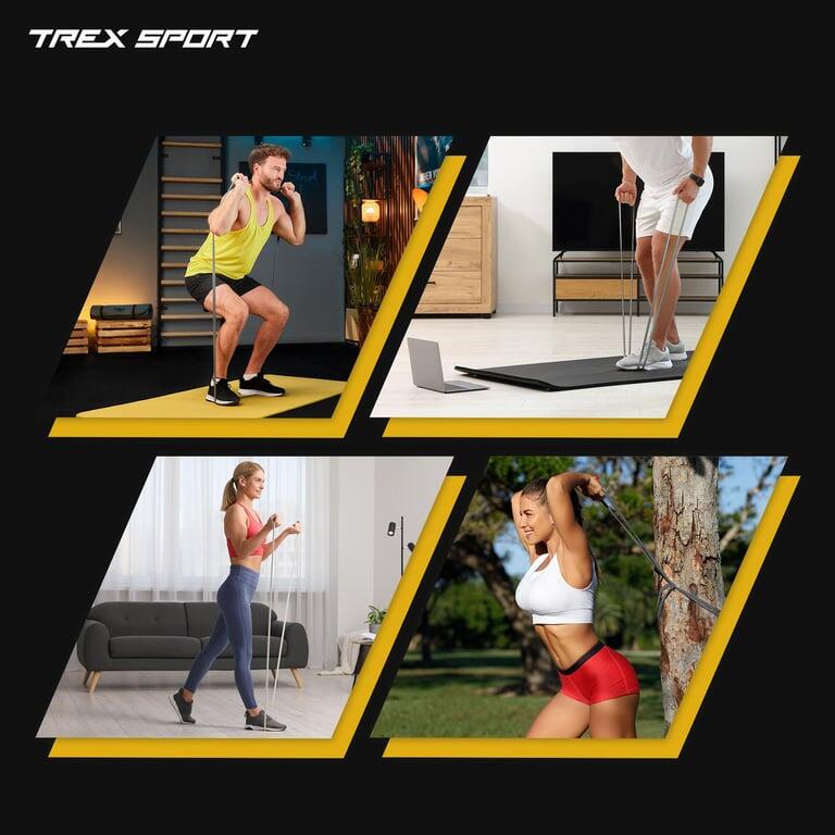 Set d'élastiques de résistance 4 pcs Trex Sport TX-004PB avec ancre 6/7