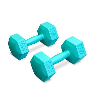 Set di manubri compositi esagonali 2x 1kg coppia di manubri per fitness