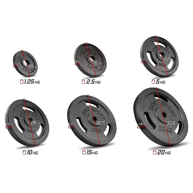 Poids Fonte Sports Authority - 2x10lb Et 4x5lb - Trou 1 Pouce
