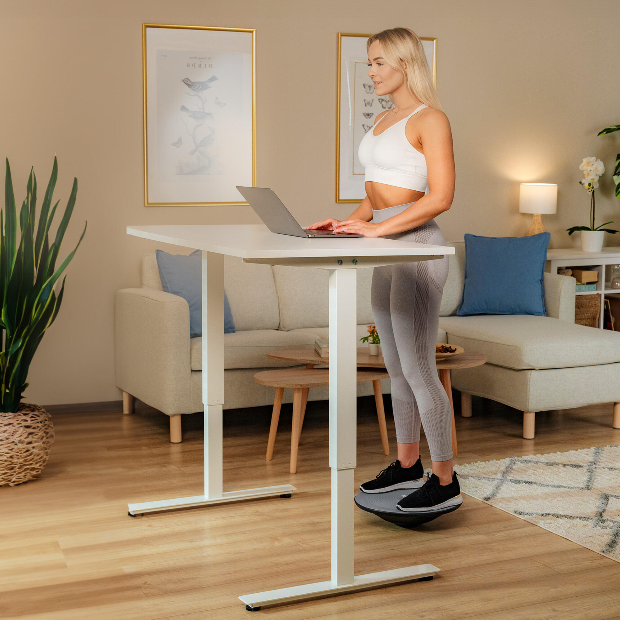 Piattaforma di equilibrio disco grigio, balance ball, palla d'equilibrio 5/7