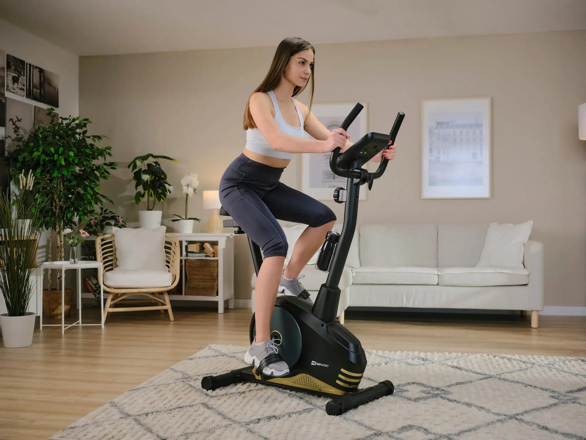 Bicicletta magnetica HS-2080 Spark nero-oro 2/7