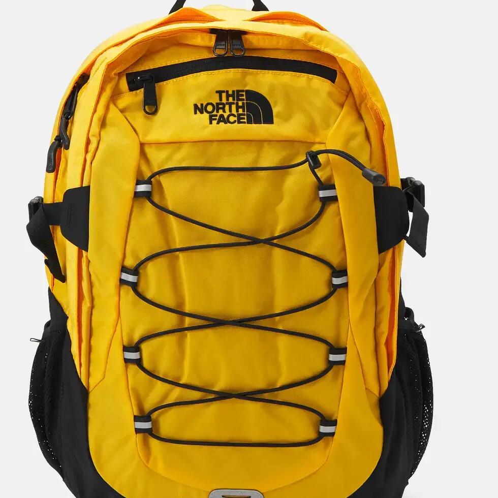 THE NORTH FACE BOREALIS urban men's sports backpack