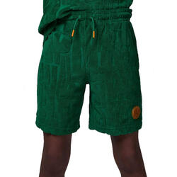 Nike - Bermuda vert Jordan 95D146-E1P