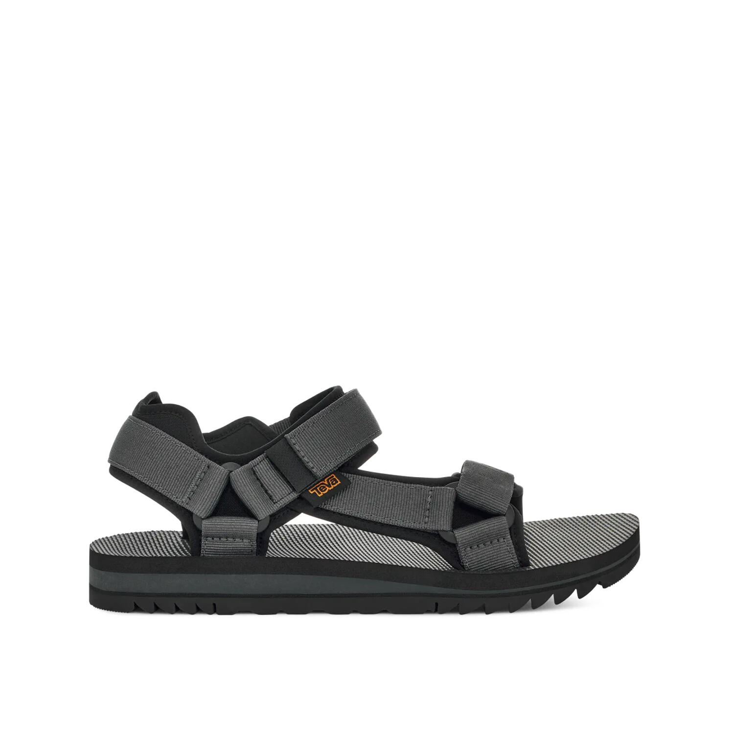 TEVA picture