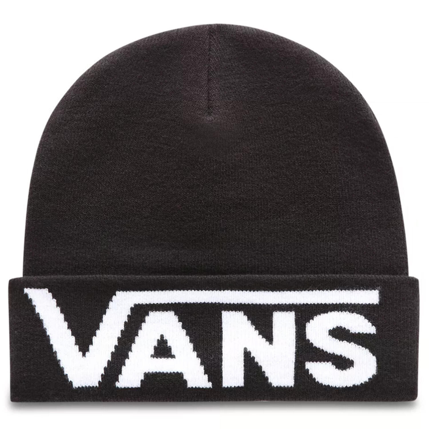 VANS picture