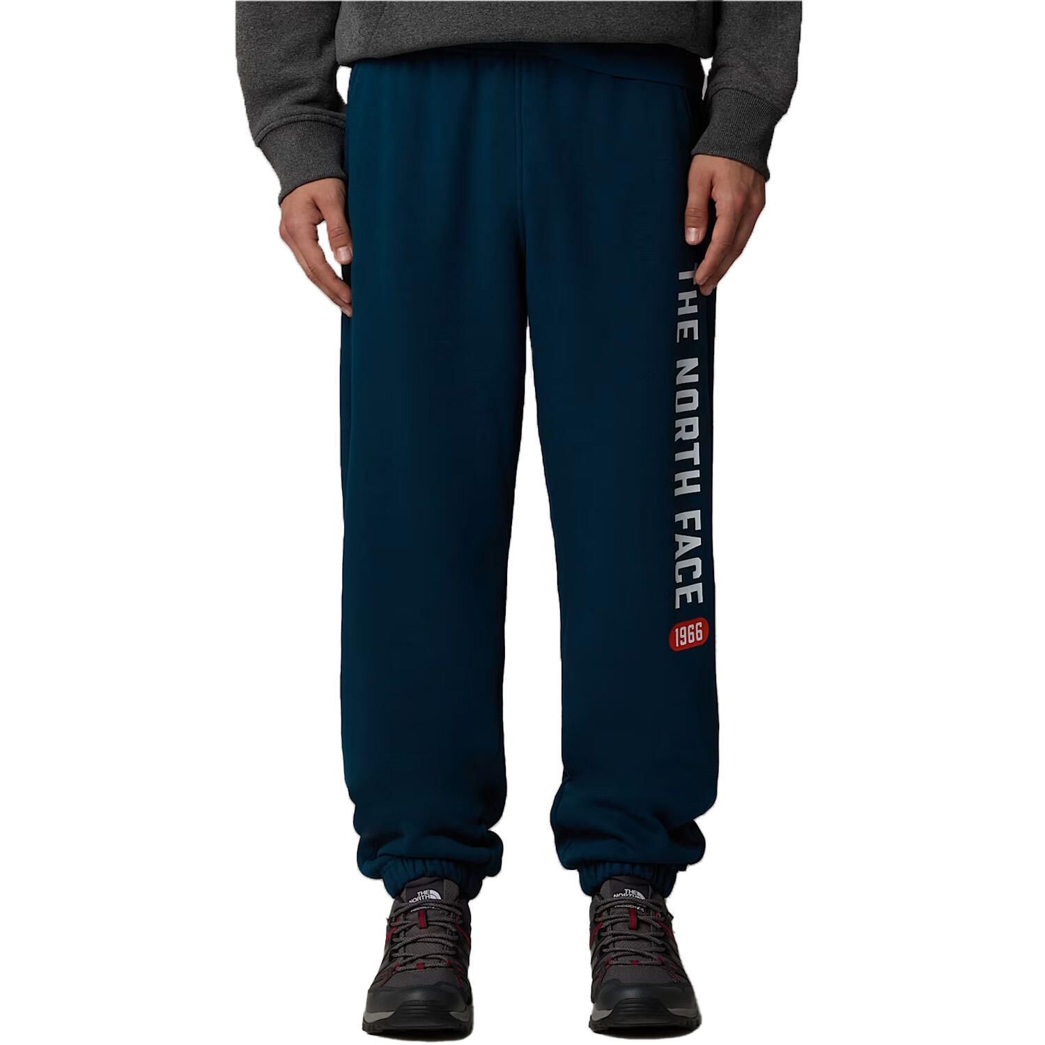 The north face - Pantalon vert NF0A89DP1NO 3/3