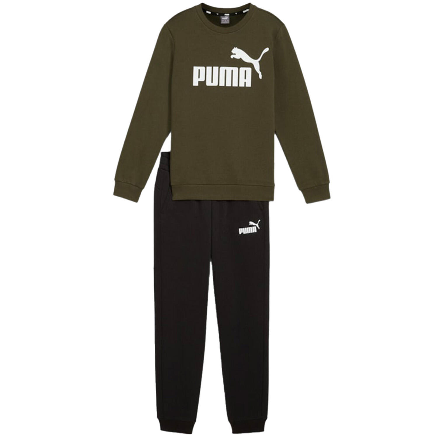 PUMA picture