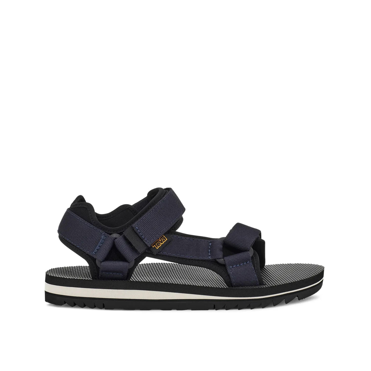 TEVA picture