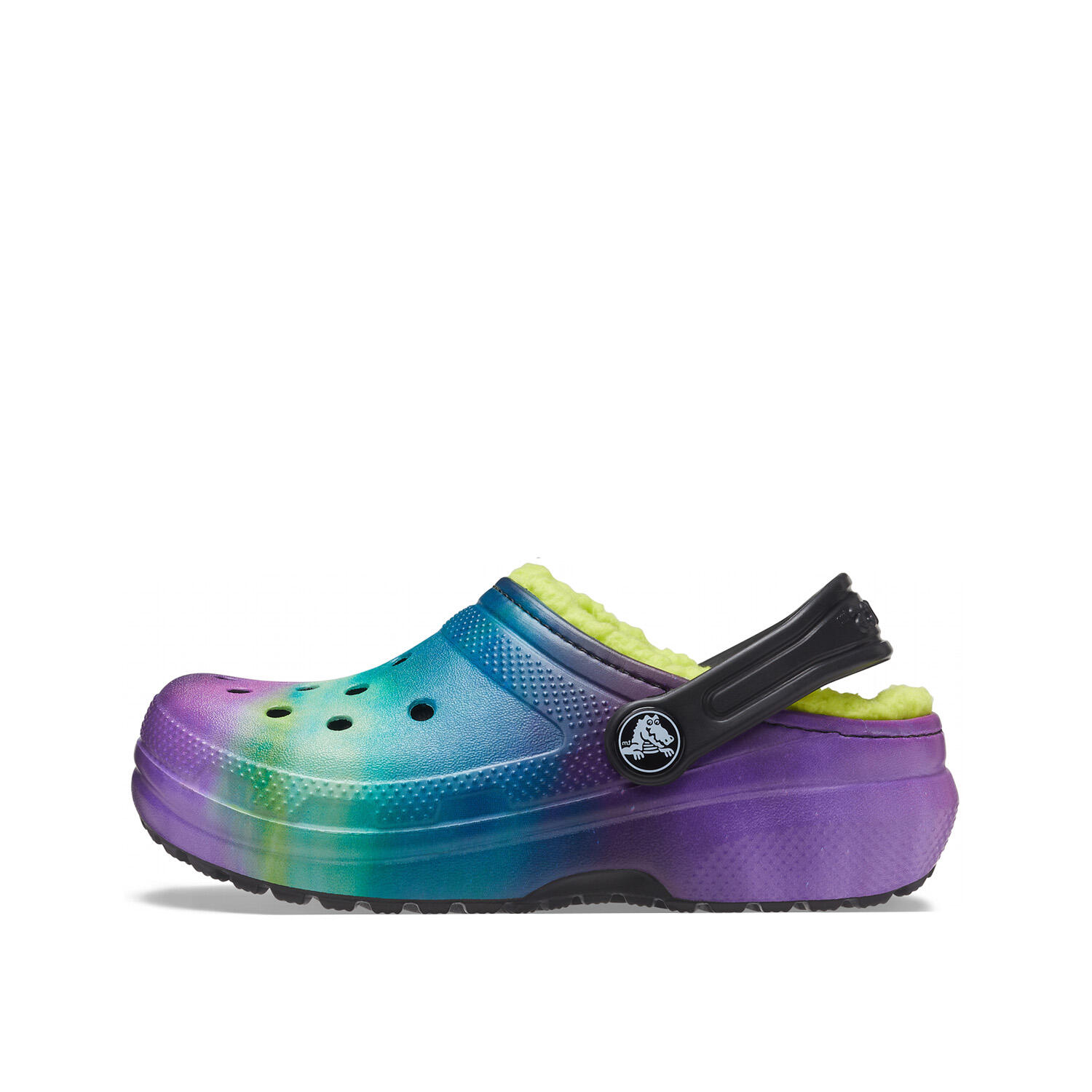 CROCS picture
