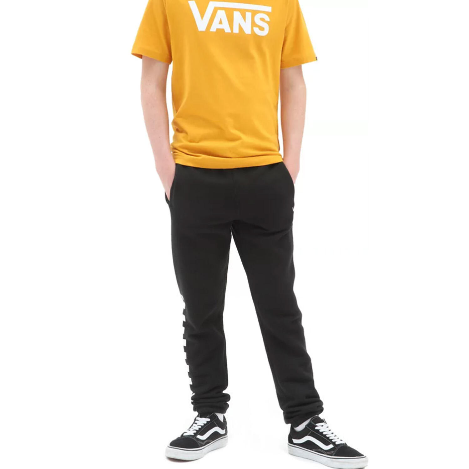 VANS picture