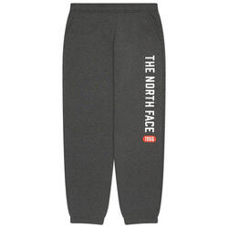 The north face - Pantalon gris NF0A89DPDYY