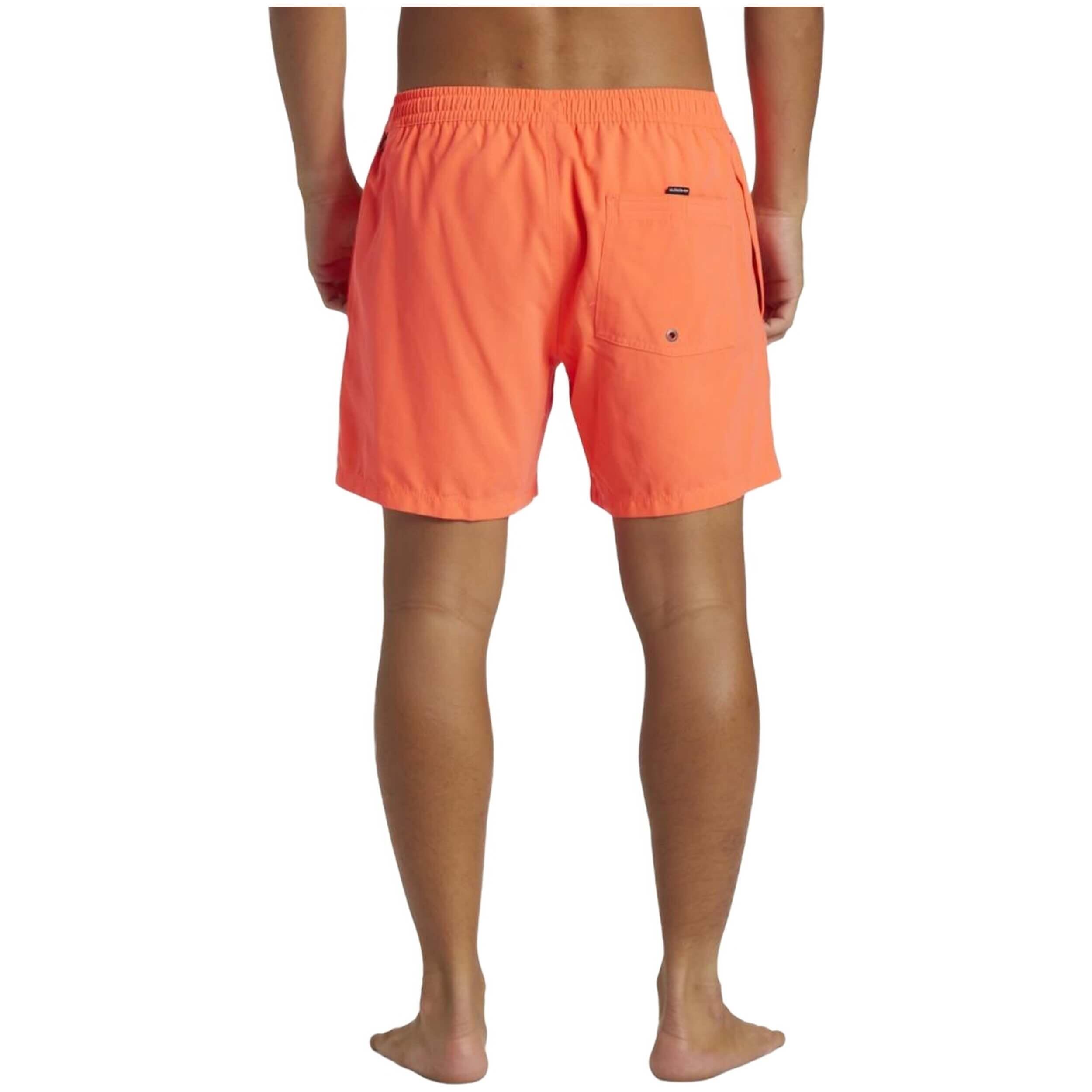 Costume da bagno Quiksilver modello AQYJV03153-MKZ0 per uomini 5/5