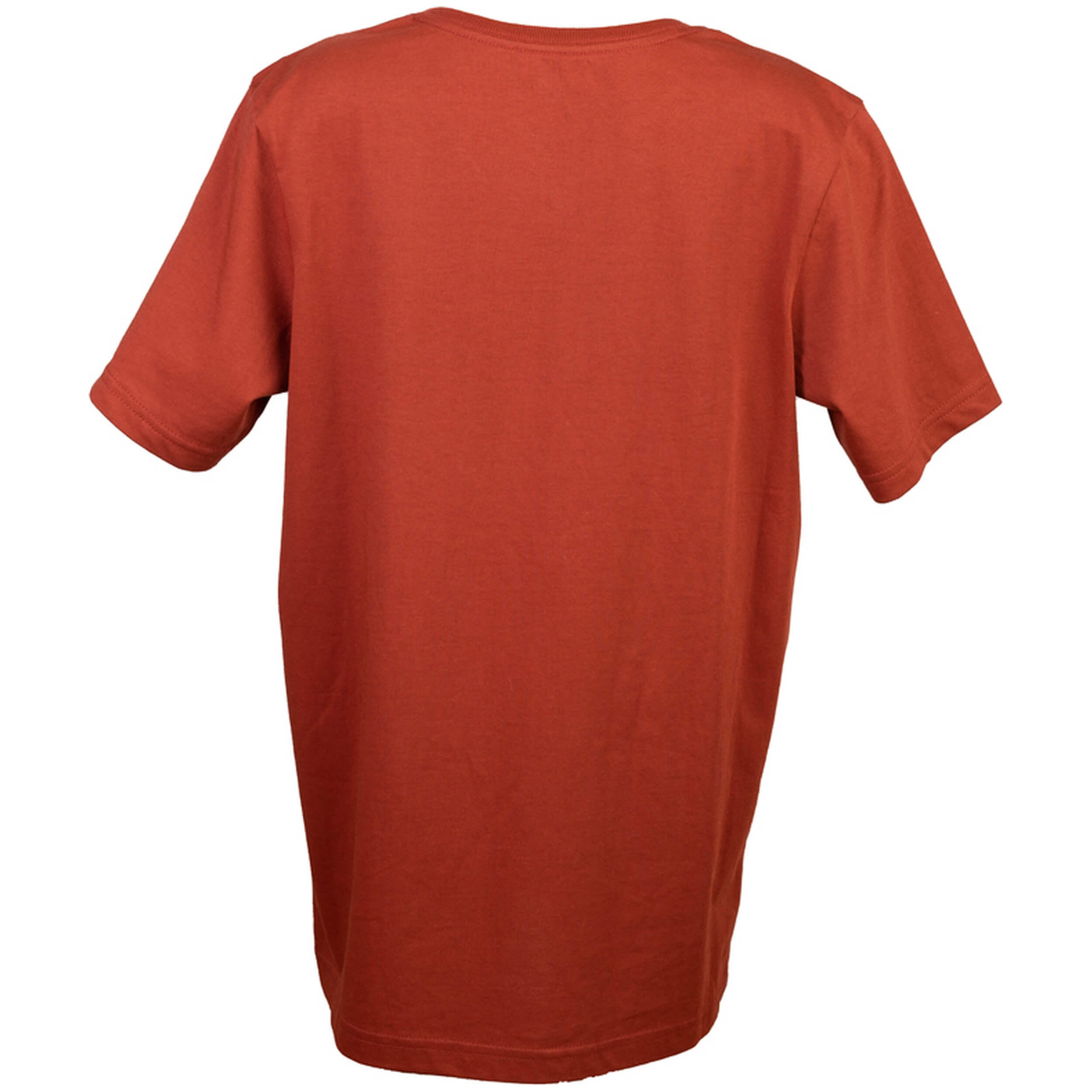 T-shirt Quiksilver modèle EQBZT04358-RQS0 pour homme 2/2