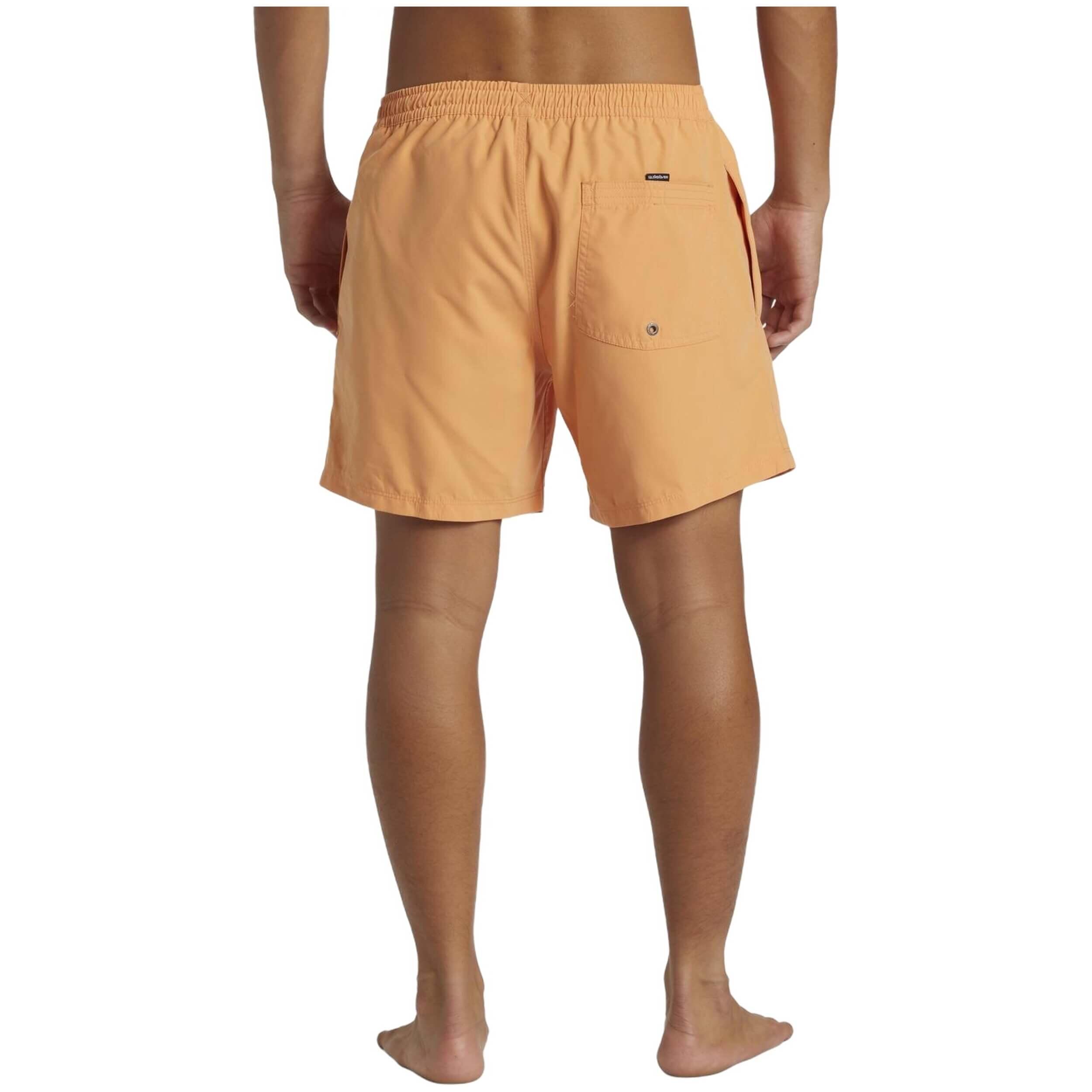 Maillot de bain Quiksilver modèle AQYJV03153-NJF0 pour homme 5/5