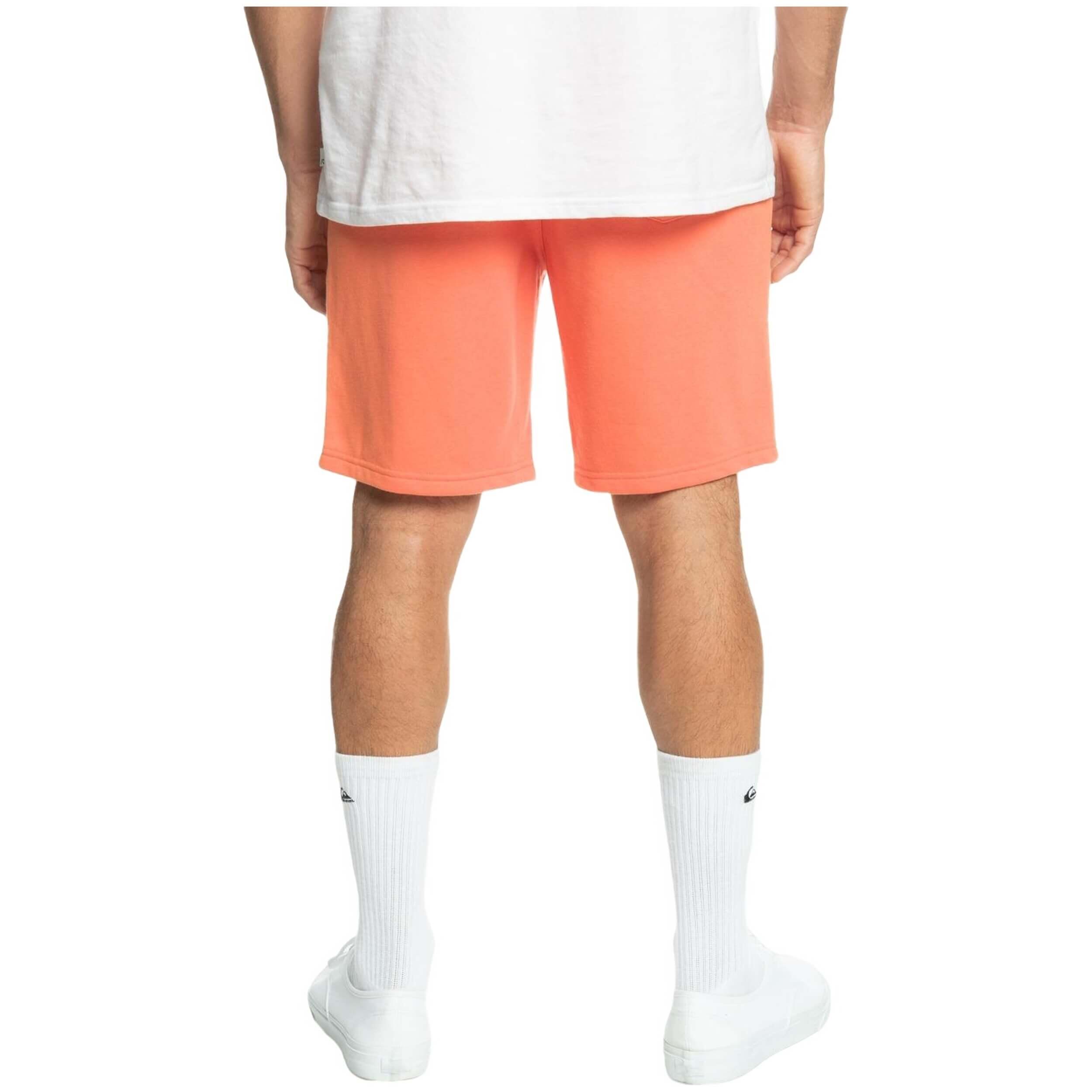 Pantaloncini Quiksilver modello EQYFB03318-MHV0 per uomini 5/5