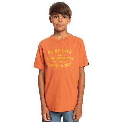 T-shirt met korte mouwen quiksilver model eqbzt04585-cms0 voor unisex jongens