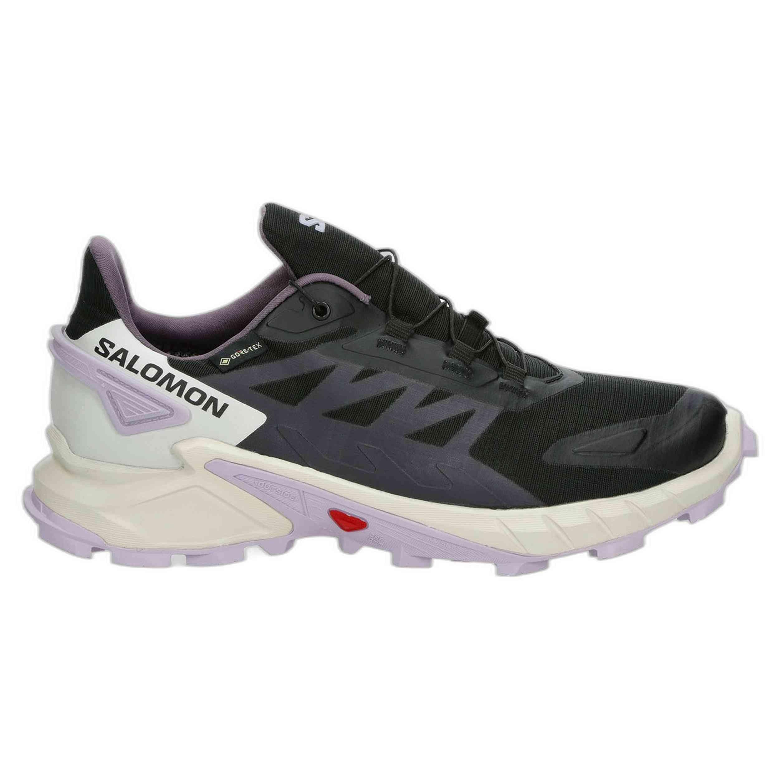 SALOMON picture