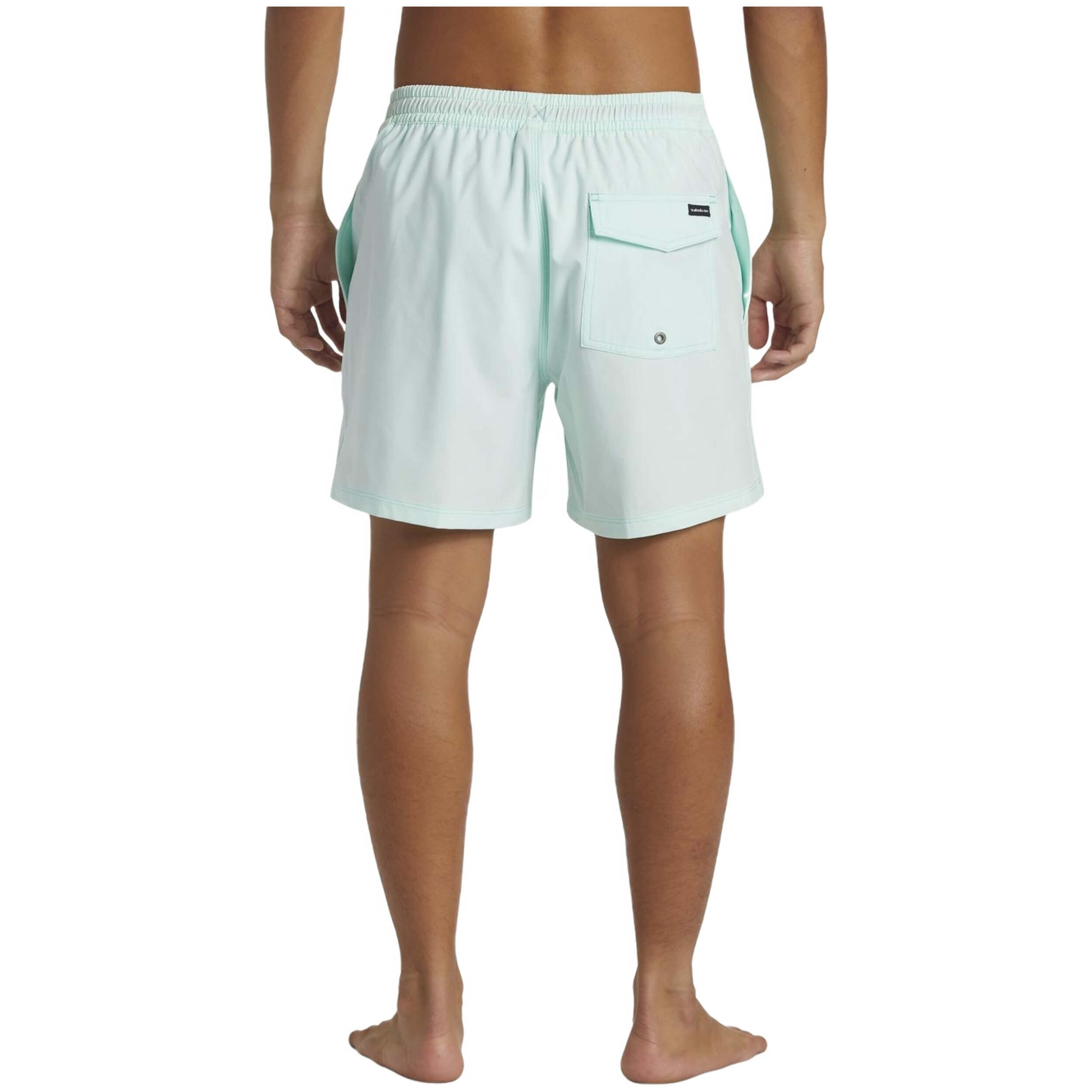 Pantaloncini Quiksilver modello AQYJV03141-BET0 per uomini 5/5