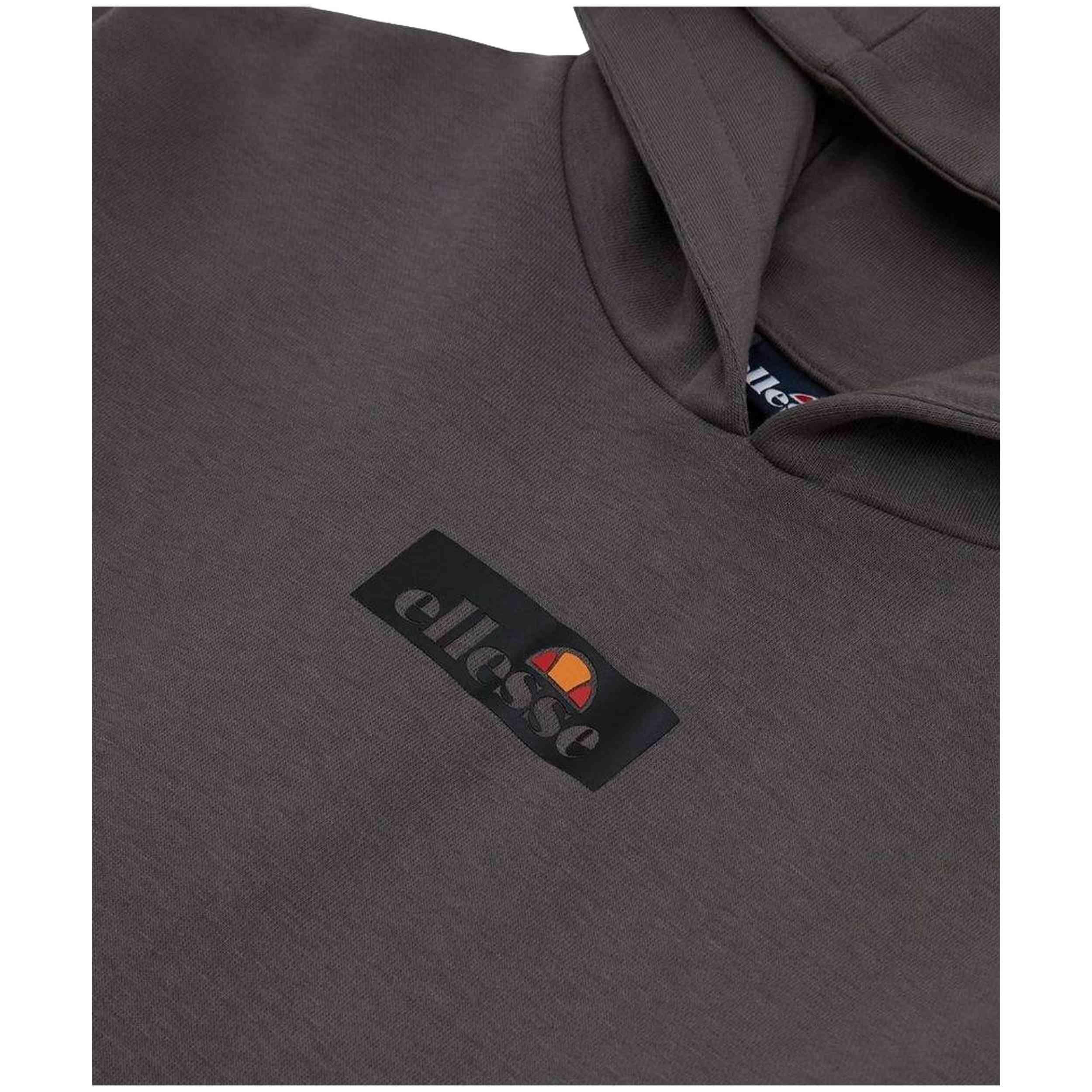 Sudaderas jerseys polares para Niño Ellesse Dragón hoody Gris 2/3