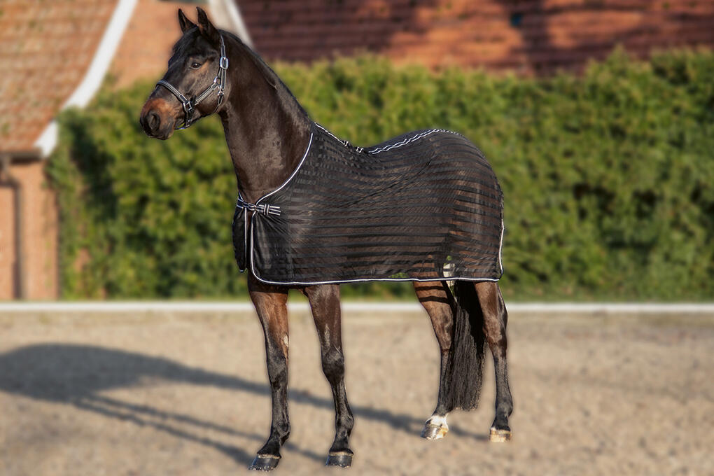 Fliegendecke schwarz 4/4