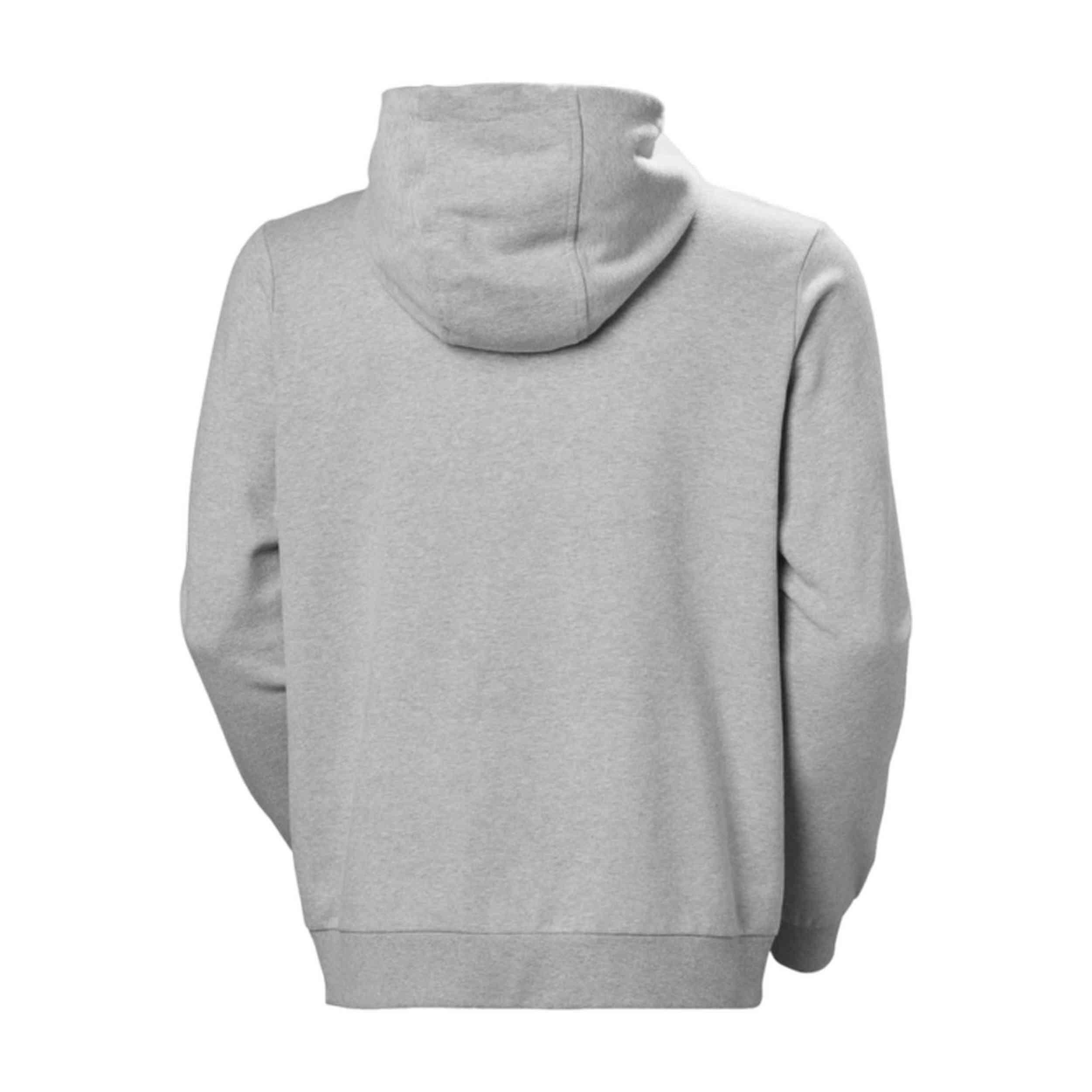 Hoodie Helly hansen model 30394_949 for man 2/5