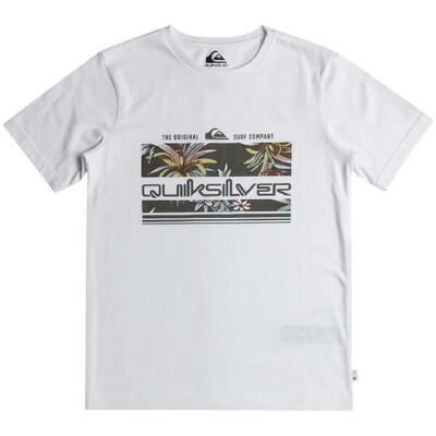 T-shirt met korte mouwen quiksilver model eqbzt04725-wbb0 voor mannen