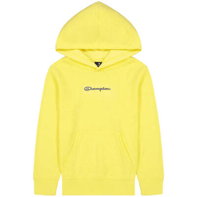 Sweater champion hooded sweatshirt voor mannen