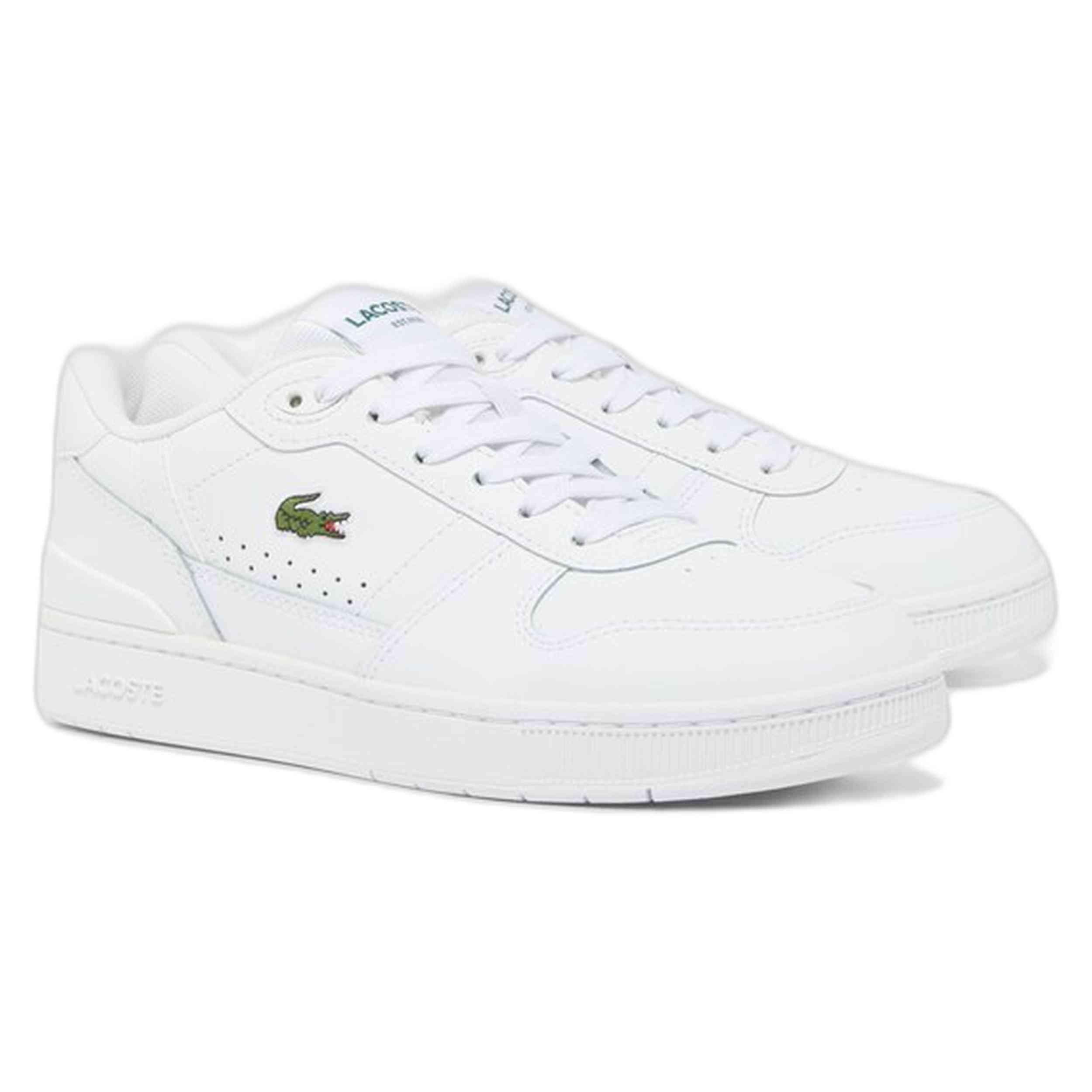 LACOSTE picture