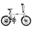 Bicicleta elétrica urbana dobrável ENGWE P20 250W 36V 9,6Ah