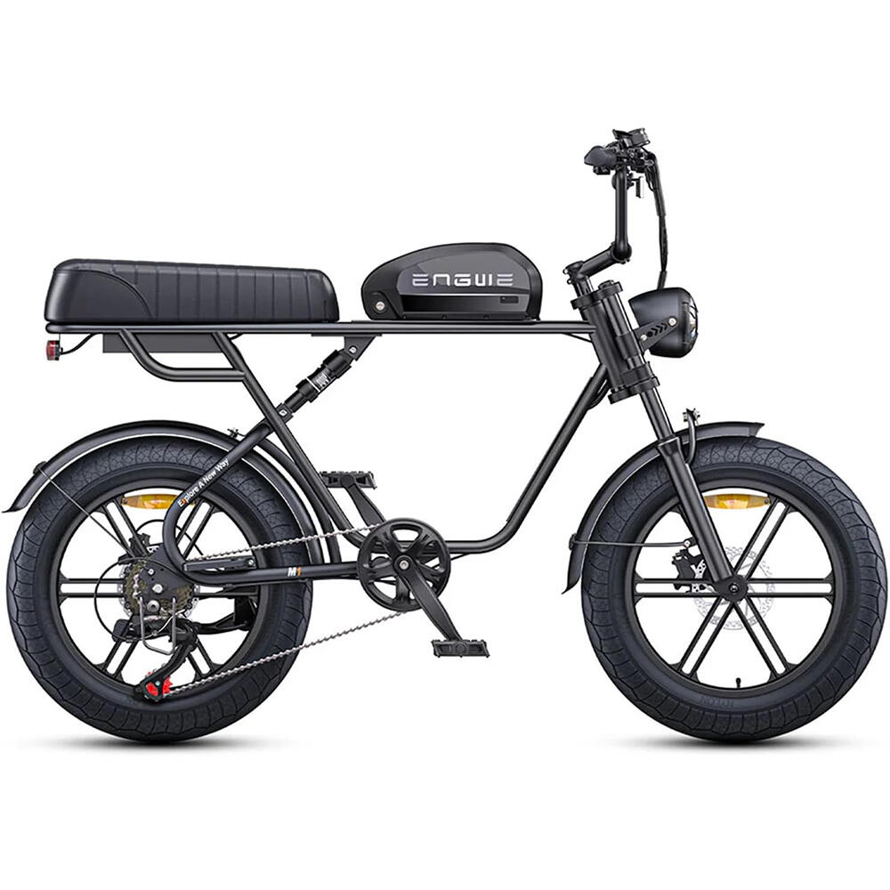Motocross eléctrica ENGWE M1 de 20 pulgadas con batería de 48 V y 15,6 Ah, 250 W 2/7