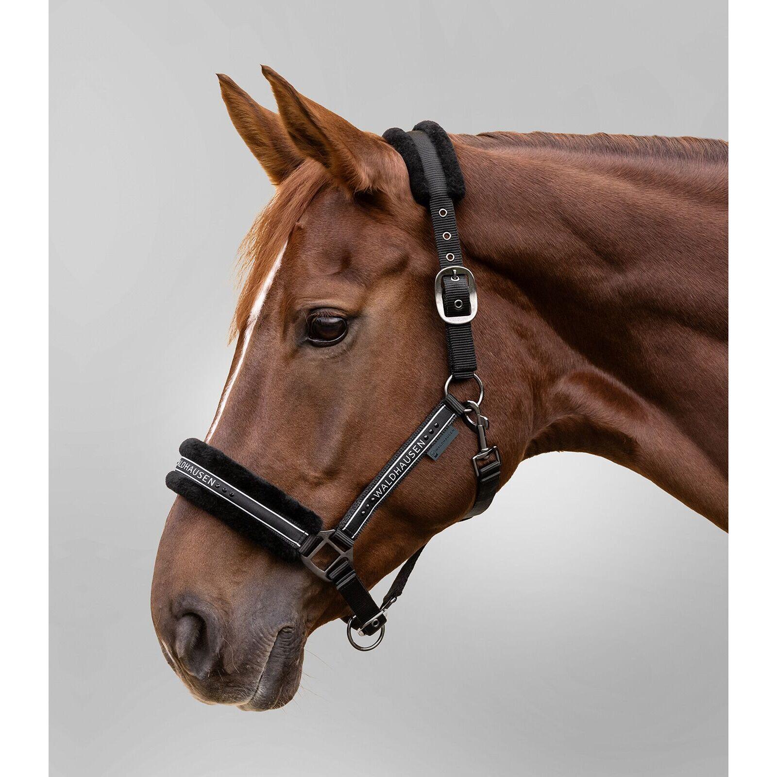Cabezada para caballo de pelo Waldhausen Elegant 2/3