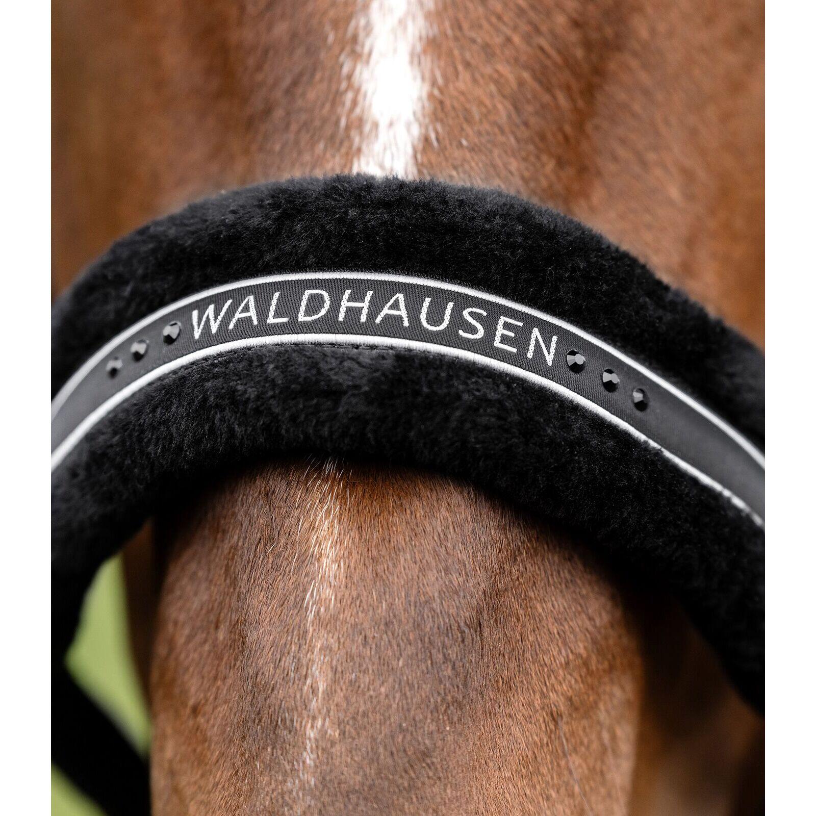 Cabezada para caballo de pelo Waldhausen Elegant 3/3