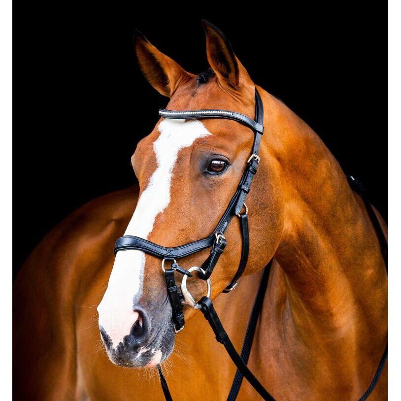 Zaumzeug Reiten Horseware Micklem 2 Diamante 2/3