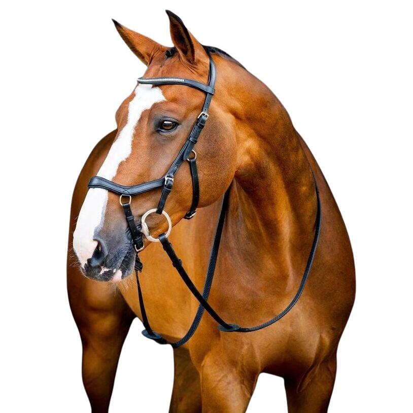 HORSEWARE IRELAND picture