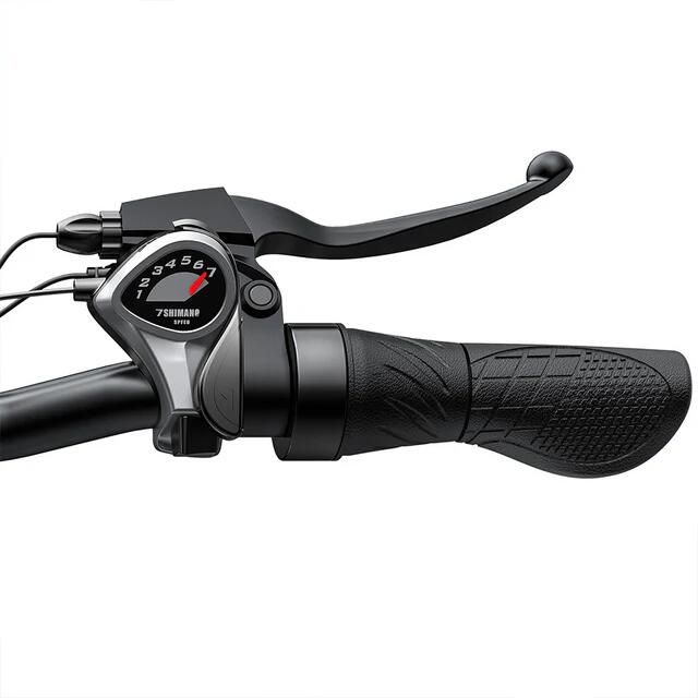 ENGWE E26 250W 48V 16Ah bicicletă electrică off-road cu suspensie dublă