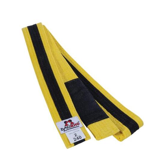 Kinder Jiu-Jitsu Gürtel Danrho