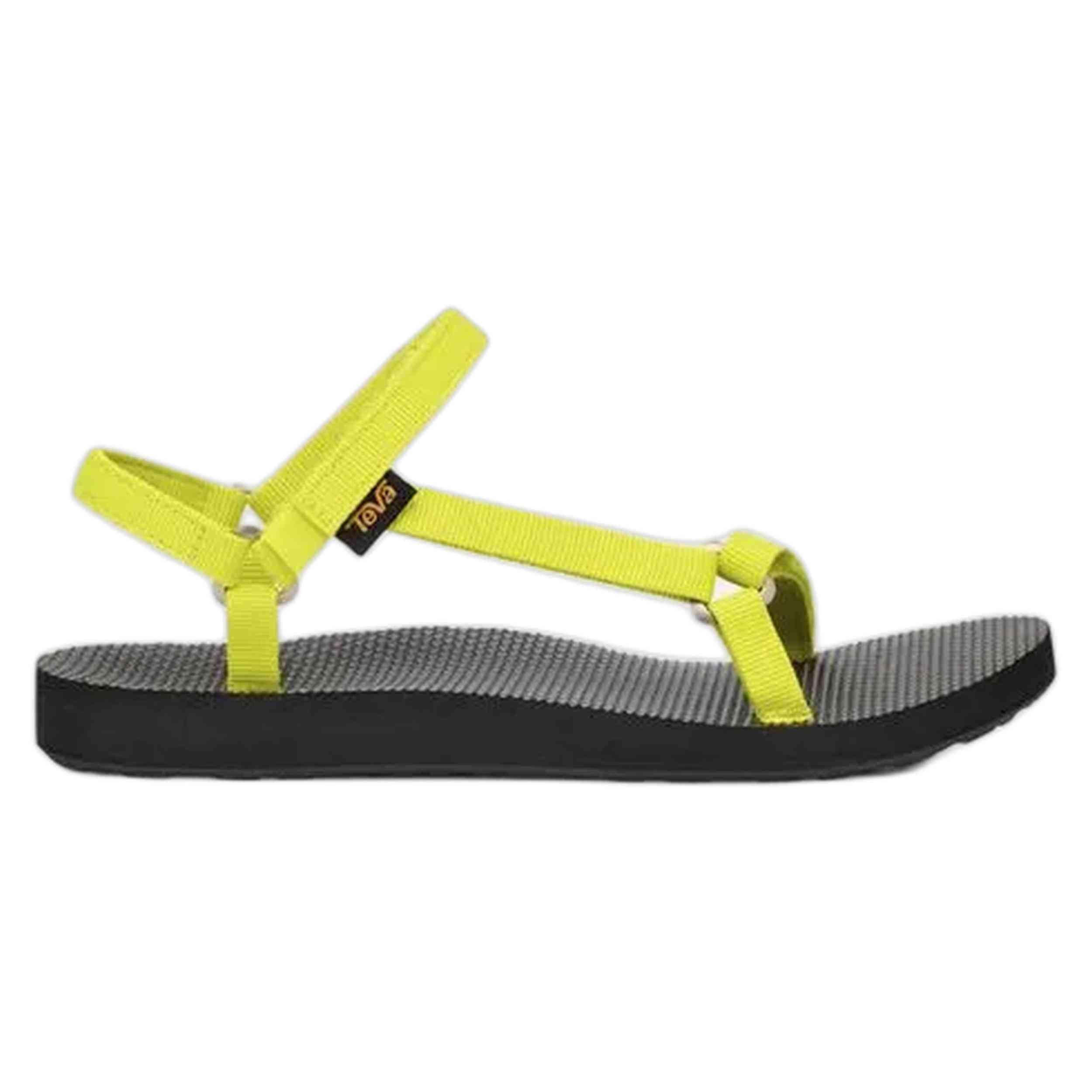 TEVA picture