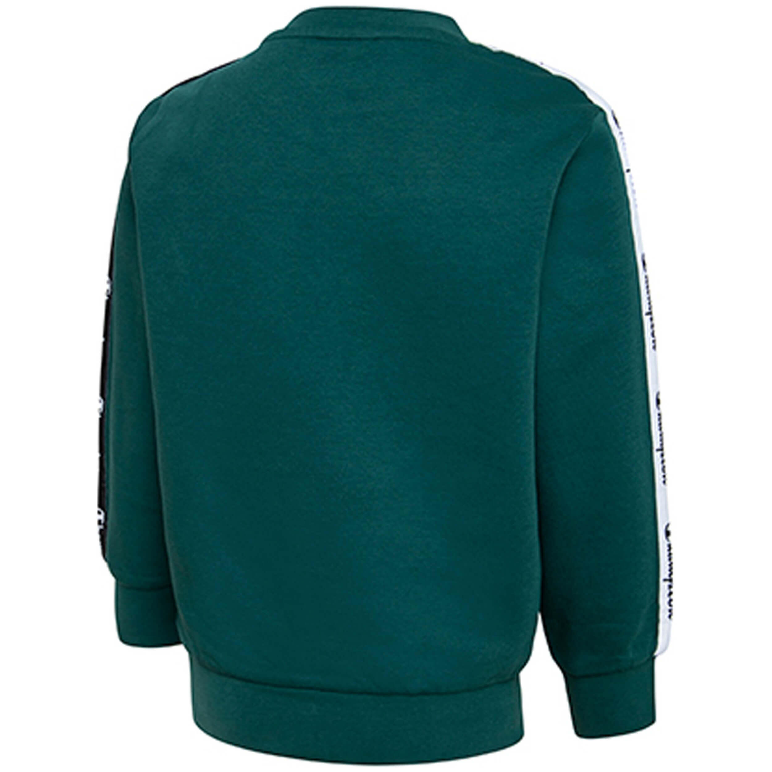 Sweat Champion modèle 305800F21-GS502 pour unisexe 2/2