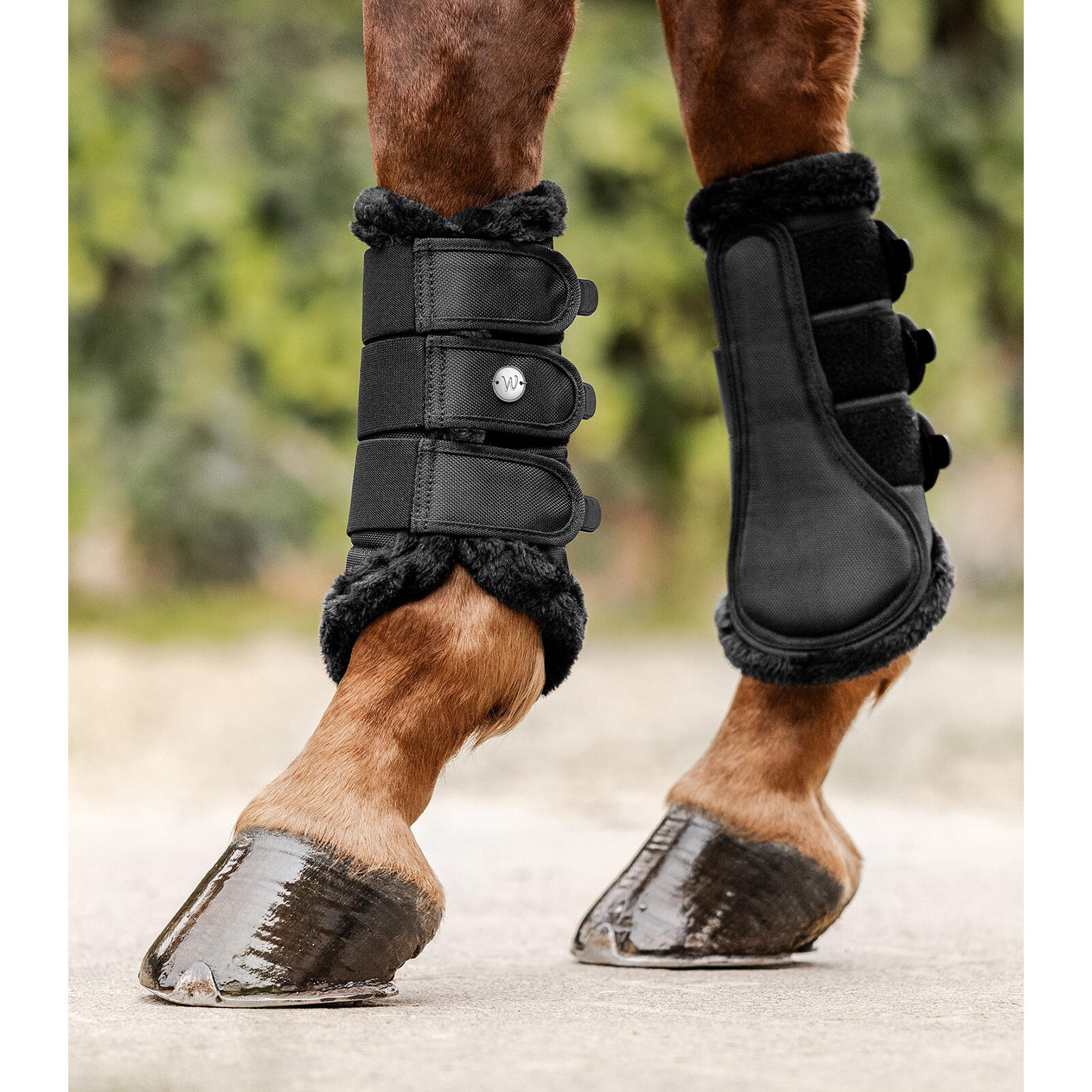 Dressage boots for horses Waldhausen Comfort 3/5