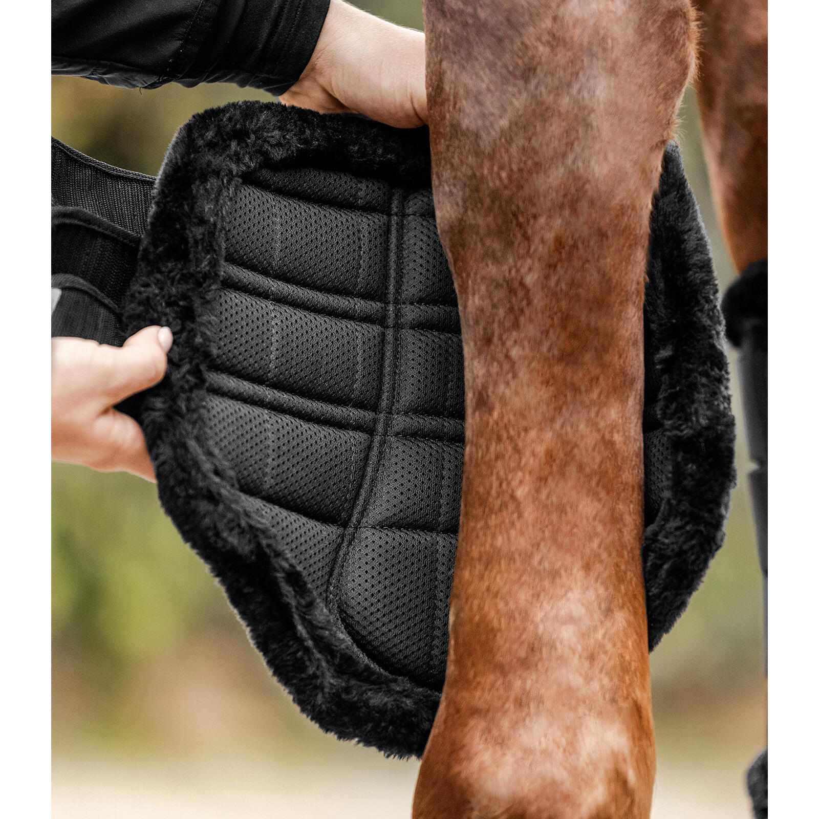 Dressage boots for horses Waldhausen Comfort 4/5
