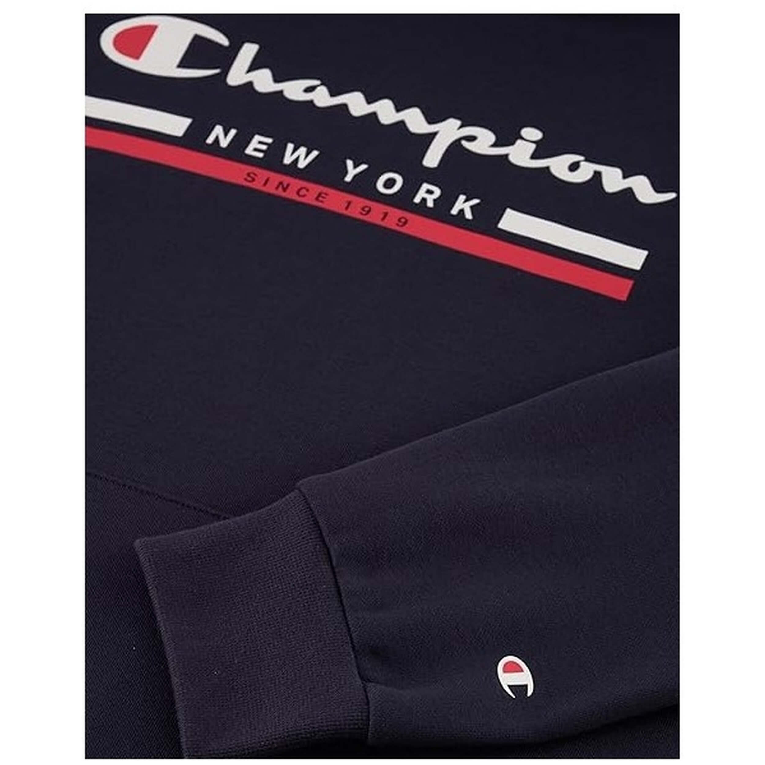 Sweat à capuche Champion modèle 220245-BS501 pour homme 5/5